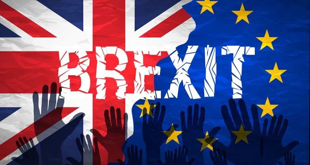 Chính phủ Anh không chấp nhận bỏ phiếu Brexit lần hai