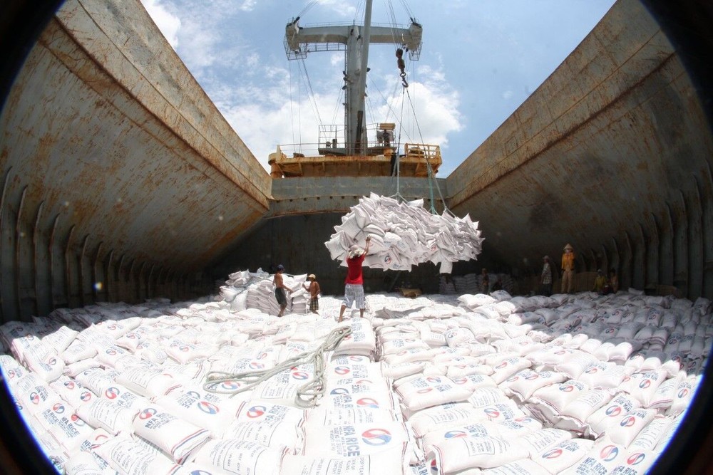 Dự báo xuất khẩu gạo 2016 thấp kỷ lục