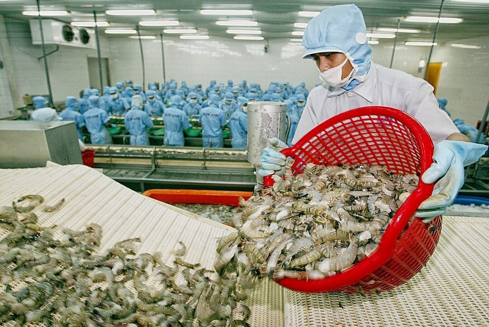 Doanh nghiệp Việt thiệt hại nặng vì lệnh cấm cấm nhập khẩu tôm của Australia