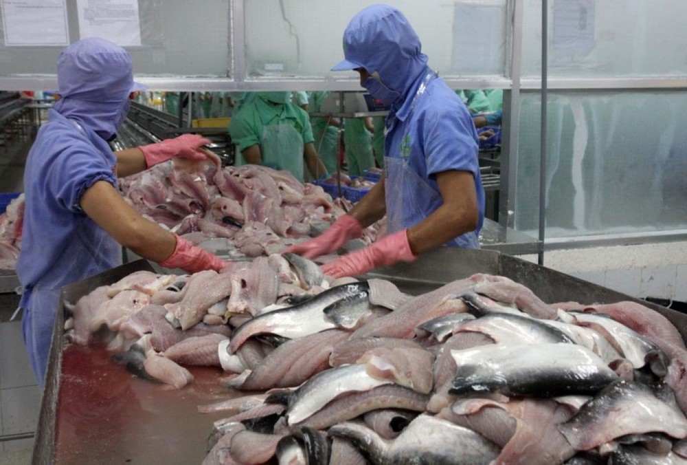 Cá da trơn Việt Nam đạt tiêu chuẩn kiểm soát chất lượng của Mỹ