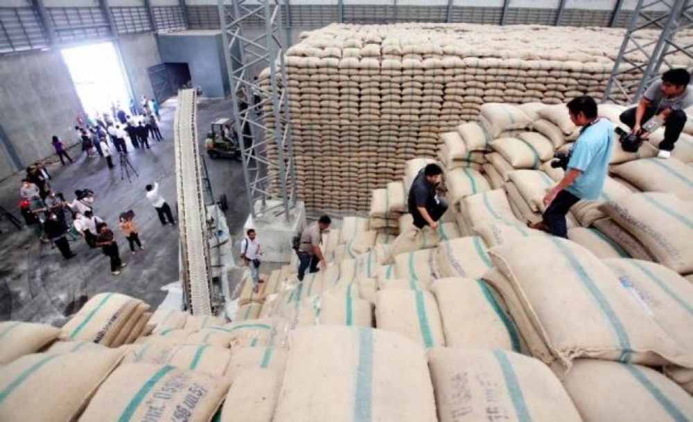 Dự báo thị trường xuất khẩu gạo Việt Nam năm 2018