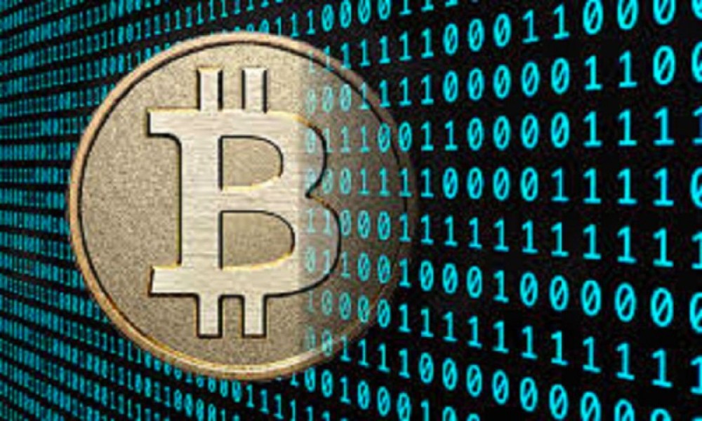 Dưới cơn "điên loạn", giá trị bitcoin được định giá bằng 0 USD