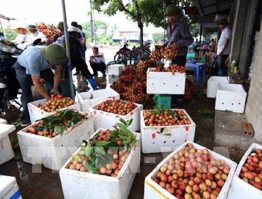 Hải Dương mời gọi doanh nghiệp đầu tư vào nông nghiệp