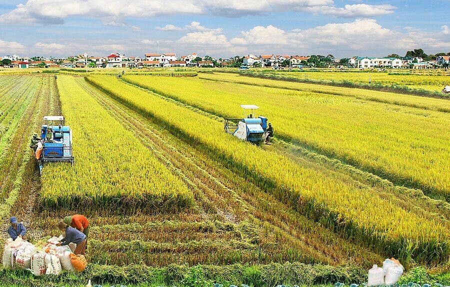 WB hỗ trợ Việt Nam 153 triệu USD phát triển khu vực nông thôn