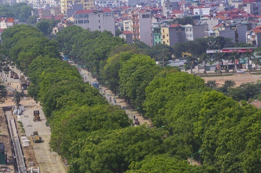 Không có quyết định chặt hạ 1.300 cây xanh trên đường Phạm Văn Đồng