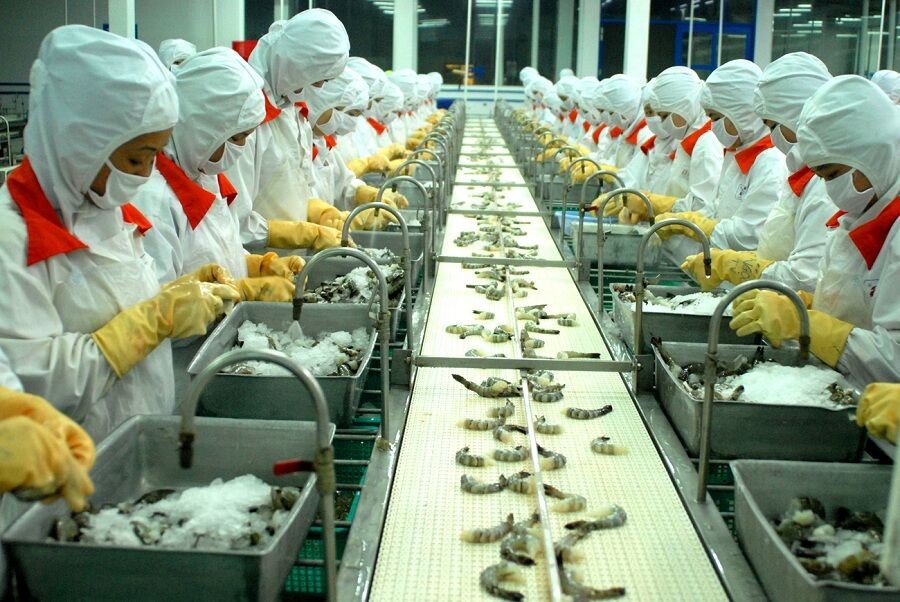 Cách mạng Công nghiệp 4.0: Thị trường lao động Việt Nam có rơi vào khủng hoảng?
