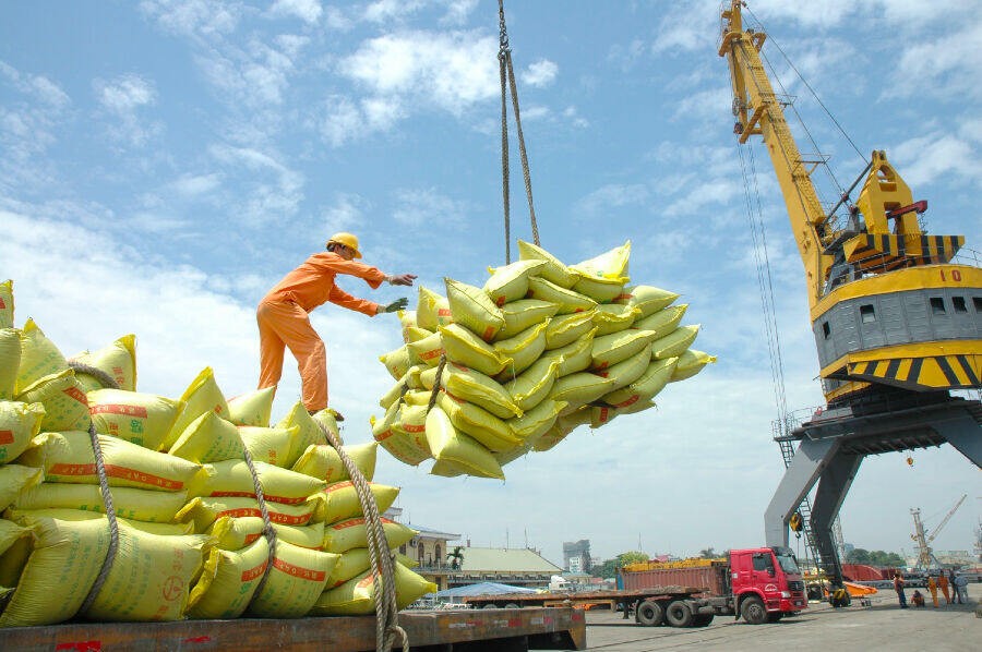 Những điều kiện ‘trói buộc’ doanh nghiệp: Nhìn từ thị trường xuất khẩu gạo