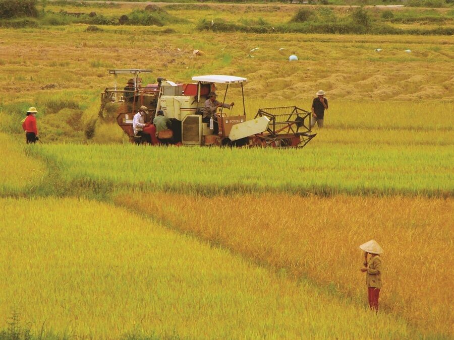 6 điểm nhấn lớn trong bức tranh ngành nông nghiệp Việt Nam