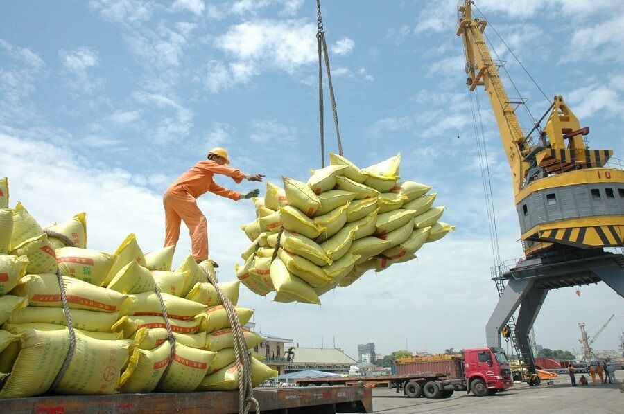 4 doanh nghiệp Việt trúng thầu 175.000 tấn gạo vào Philippines