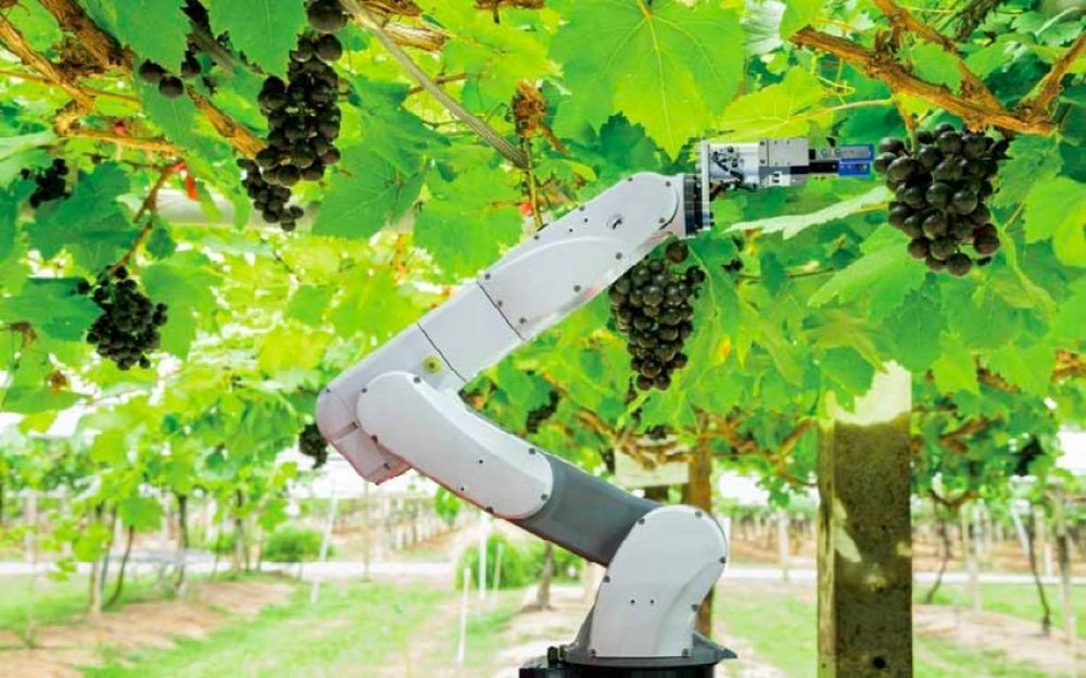 Robot ùa vào ngành nông nghiệp