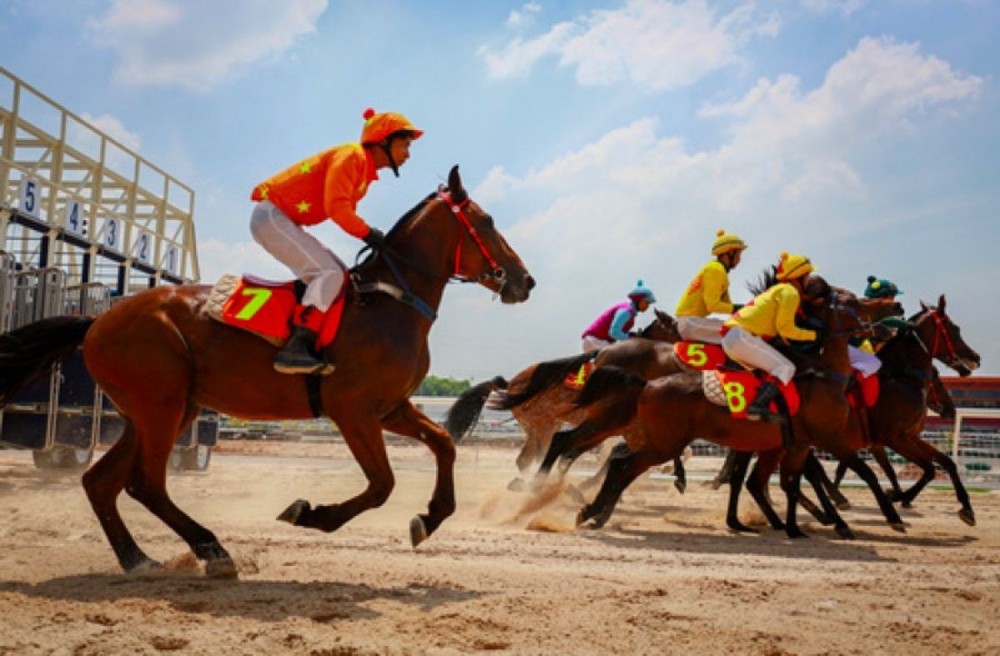 Hà Nội đề xuất xây trường đua ngựa 500 triệu USD