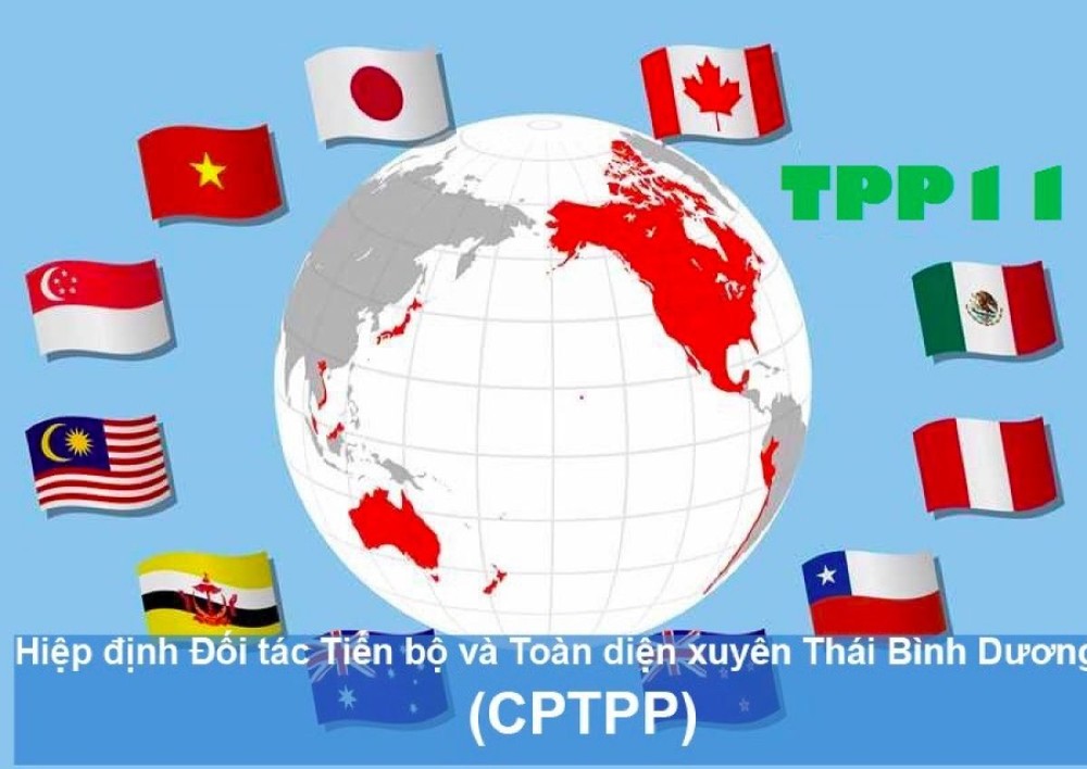 Hiệp định CPTPP vẫn "mở" cho mọi quốc gia tham gia