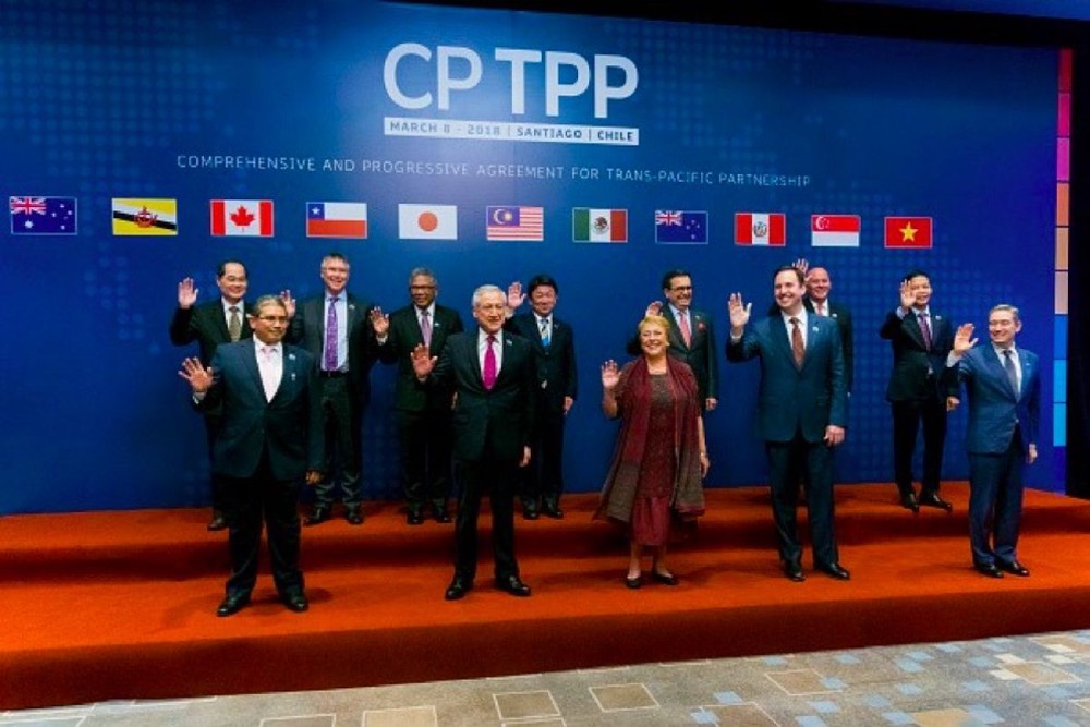 Việt Nam ký Hiệp định CPTPP, ngành nào sẽ được lợi?