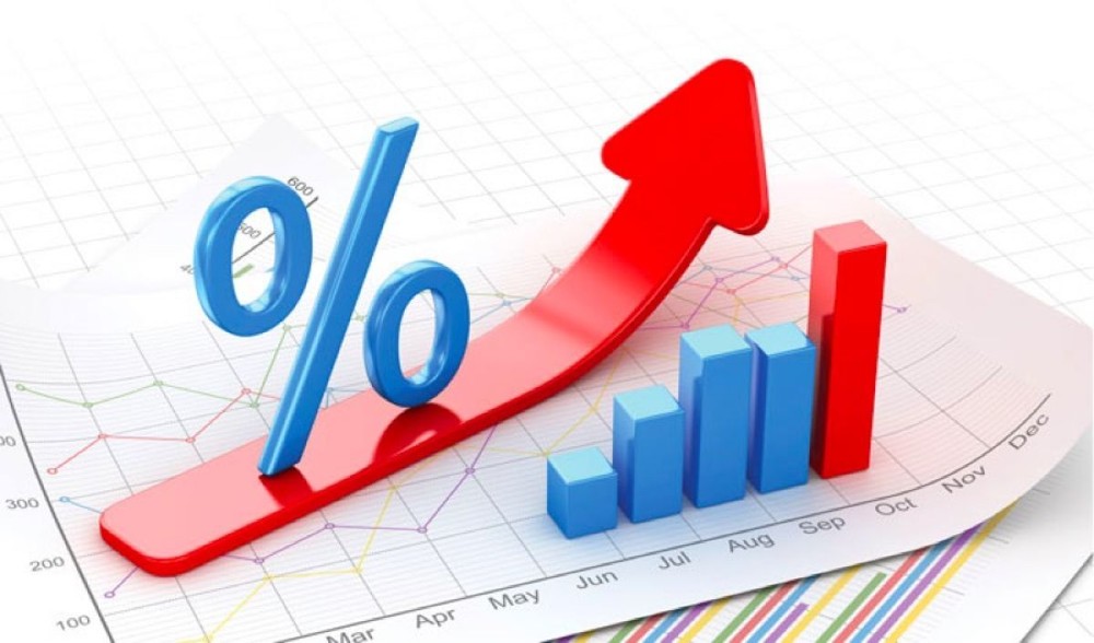 “Khả năng trả lãi vay của doanh nghiệp mức 6-9% là phù hợp”