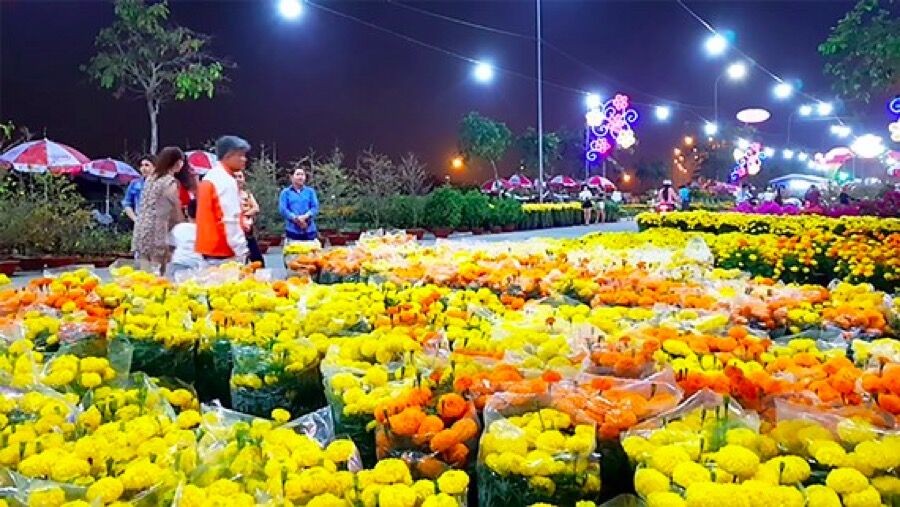 Hà Nội tổ chức 64 điểm chợ hoa Xuân phục vụ Tết Nguyên đán Kỷ Hợi