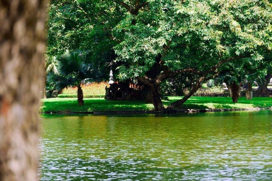Huế sẽ có Vườn Bách thảo trên sông Hương