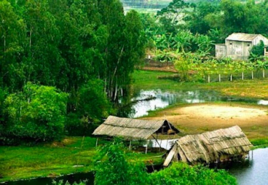 Hàn Quốc chi hơn 3 triệu USD xây làng Việt ở quê HLV Park Hang-seo