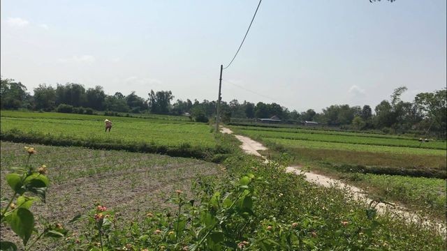 Xử lý, công khai các trường hợp tung tin đồn thất thiệt gây “sốt” giá đất tại Đà Nẵng