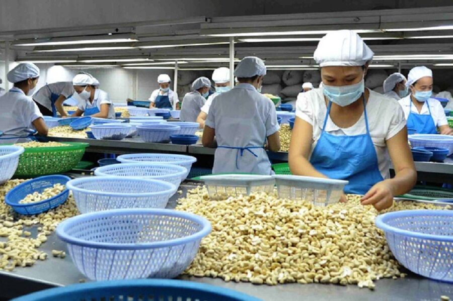 Năm 2018, Việt Nam đứng số 1 thế giới về xuất khẩu điều