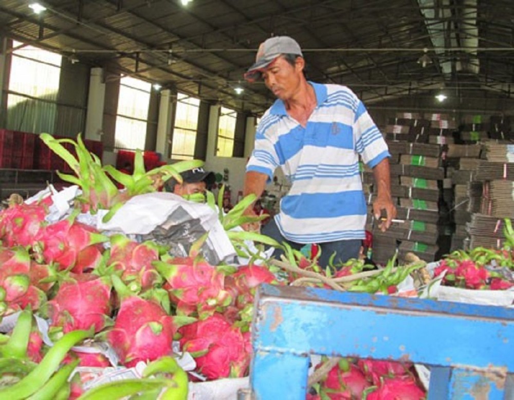 Trung Quốc "siết" nhập khẩu trái cây từ Việt Nam