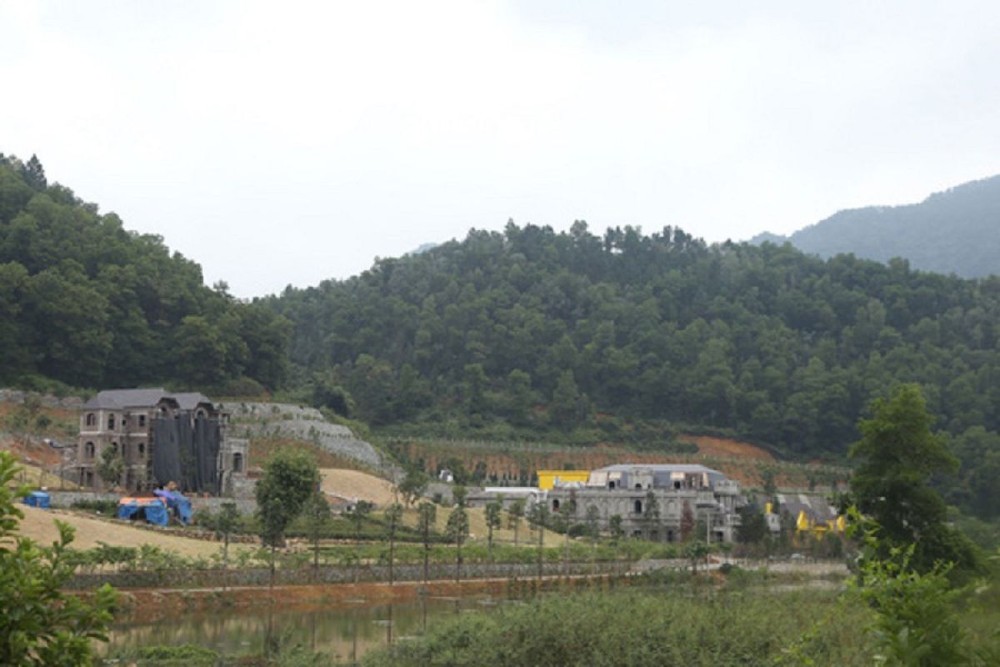 Thanh tra toàn diện việc quản lý, sử dụng đất rừng ở huyện Sóc Sơn