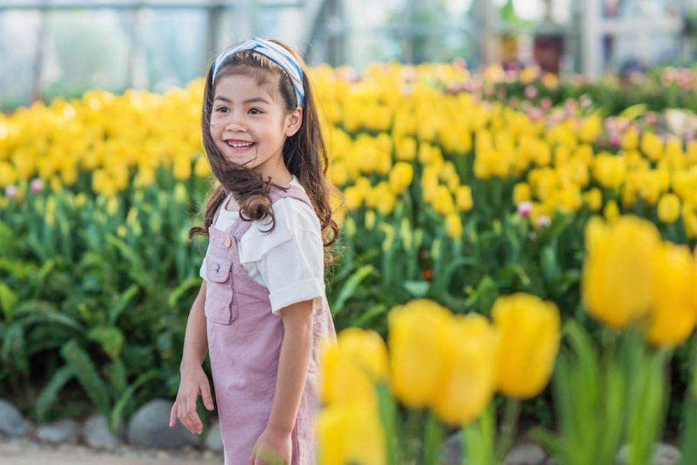 Lễ hội hoa Tulip lớn nhất Việt Nam tại Vinpearl Nha Trang