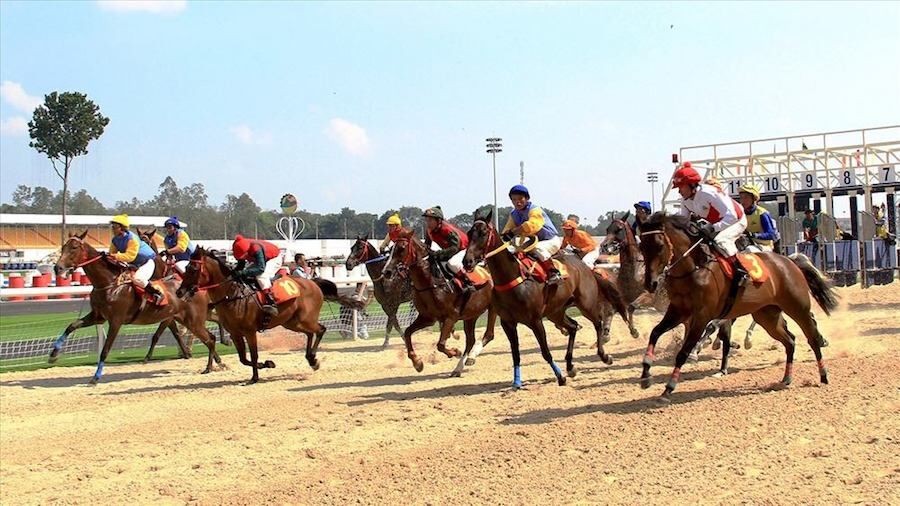 Tập đoàn Charmvit hối thúc Hà Nội làm dự án trường đua ngựa 420 triệu USD