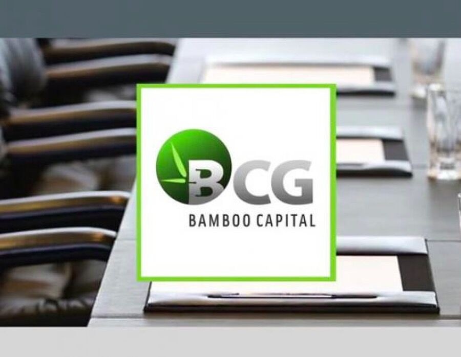 Mỗi tuần một cổ phiếu: Cổ phiếu BCG của Bamboo Capital có đáng đầu tư?