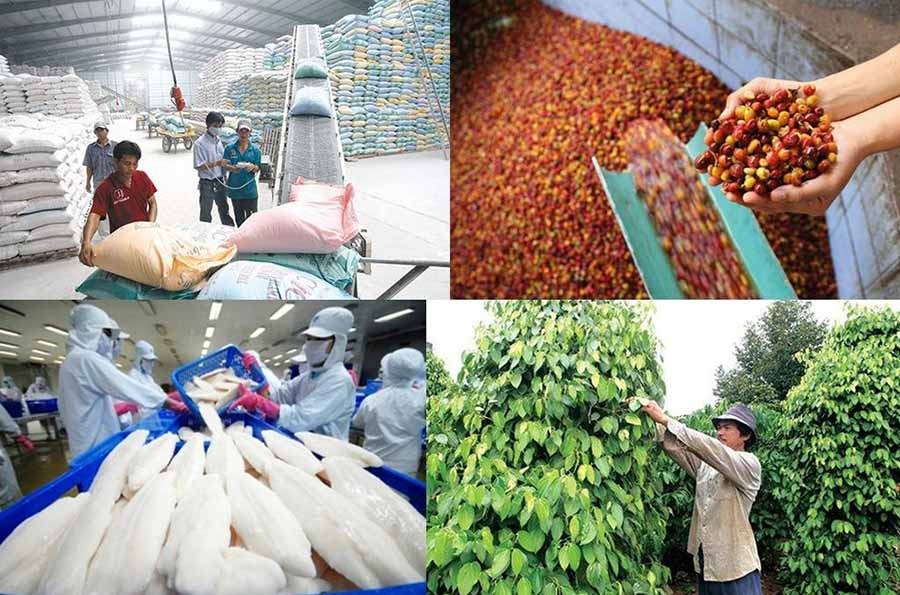 Chi phí logistics nông sản quá cao, Việt Nam cần làm gì?