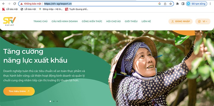 Ảnh chụp màn hình Cổng thông tin hỗ trợ xuất khẩu nông sản Việt Nam tại địa chỉ sfv-agriexport.vn
