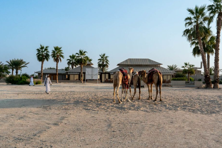 Khu cắm trại sang trọng The Outpost AI Barari: Phong cách Ai Cập giữa sa mạc Qatar