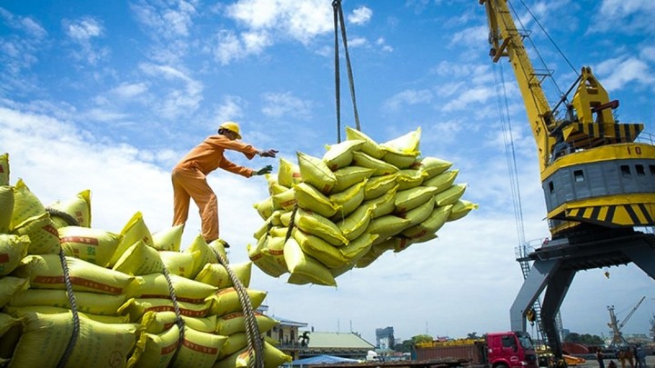 Quý1/2024, xuất khẩu gạo của Việt Nam đã ghi nhận mức tăng trưởng ấn tượng
