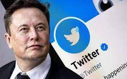 Doanh thu quảng cáo của Twitter giảm 50% sau khi về tay Elon Musk
