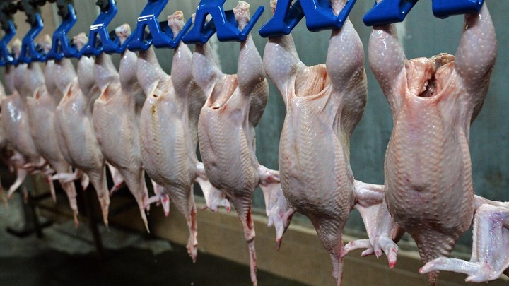 Việt Nam phấn đấu xuất khẩu thịt gà chế biến sang các thị trường lớn